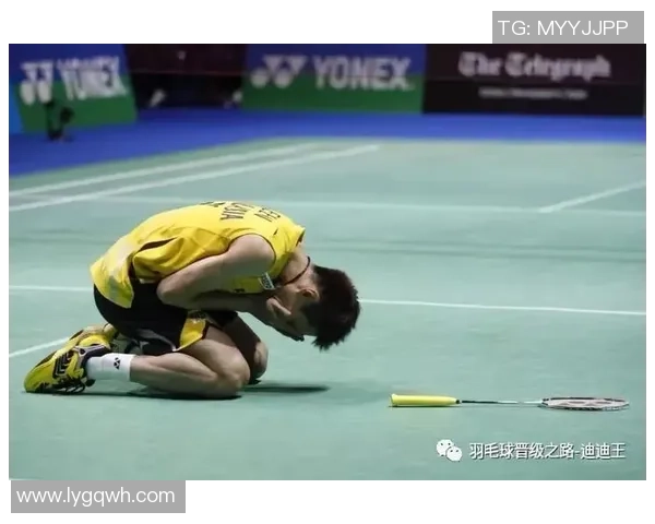 上海羽毛球队精英赛个人能力分析与表现评估 上海羽毛球队精英赛个人能力分析与表现评估