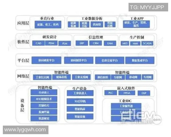西安排球队的转型之路探索与挑战全景分析
