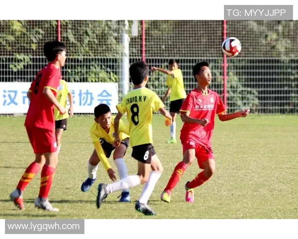 庄园小课堂足球明星培养计划助力孩子们的足球梦想与成长之路