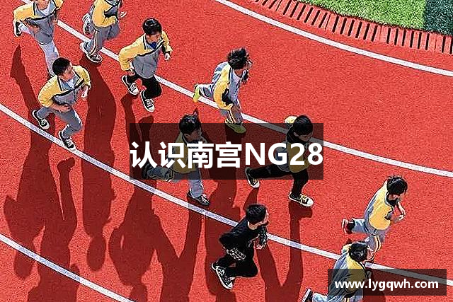 认识南宫NG28
